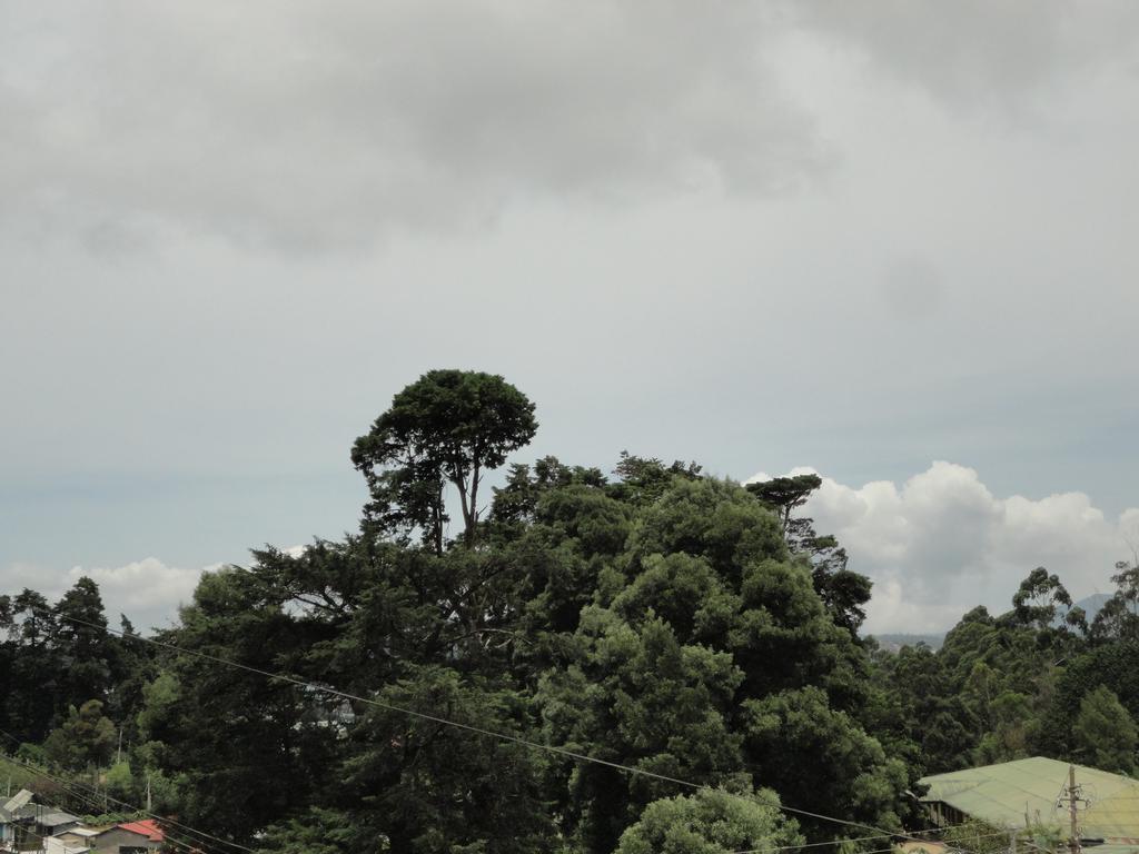 Srihelyes Inn Nuwara Eliya Ngoại thất bức ảnh